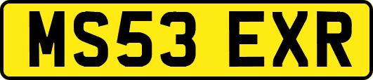 MS53EXR