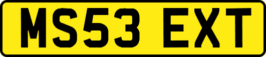MS53EXT