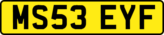 MS53EYF