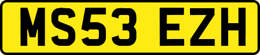 MS53EZH