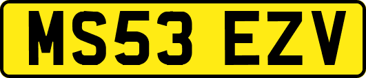 MS53EZV