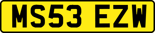MS53EZW