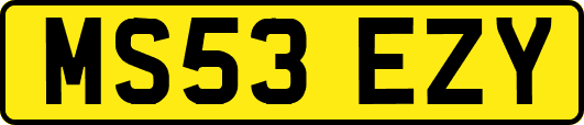 MS53EZY