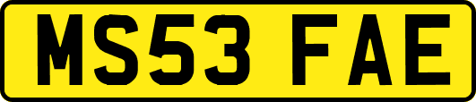 MS53FAE