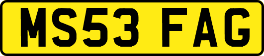 MS53FAG