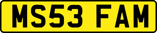 MS53FAM