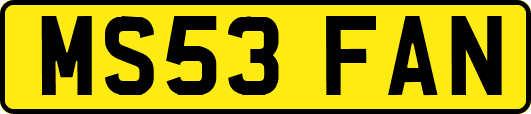 MS53FAN