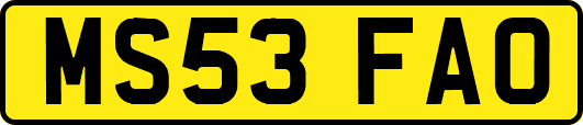MS53FAO