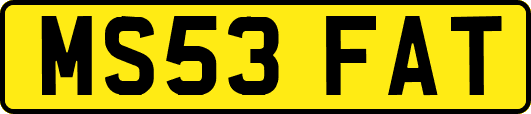 MS53FAT