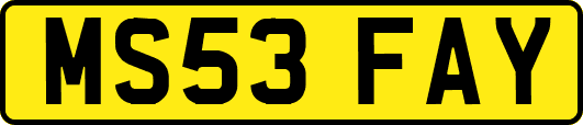 MS53FAY