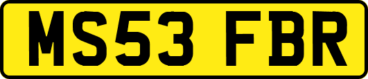 MS53FBR
