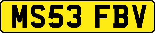 MS53FBV