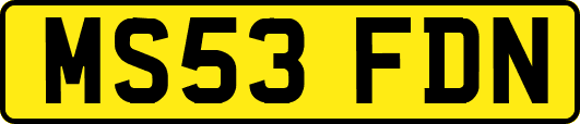 MS53FDN