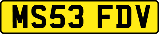 MS53FDV