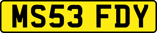 MS53FDY