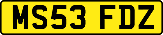 MS53FDZ