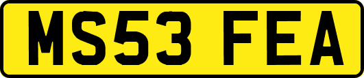 MS53FEA