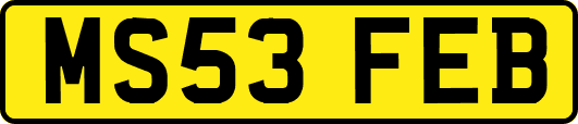 MS53FEB