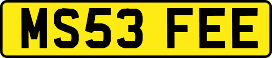 MS53FEE