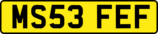 MS53FEF