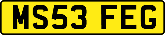 MS53FEG
