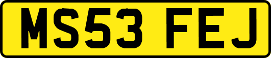 MS53FEJ