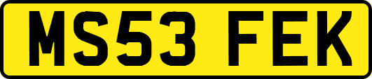 MS53FEK
