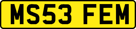 MS53FEM