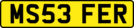 MS53FER