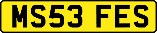 MS53FES