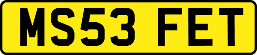 MS53FET