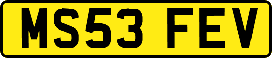 MS53FEV