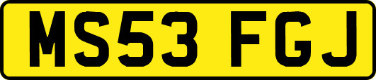 MS53FGJ