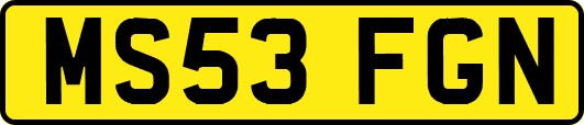 MS53FGN