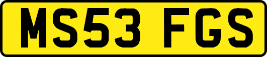 MS53FGS