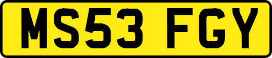 MS53FGY