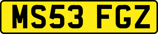 MS53FGZ