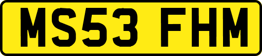 MS53FHM