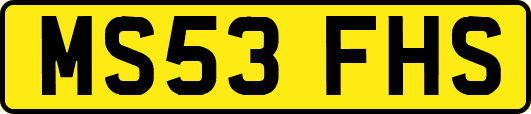 MS53FHS