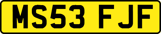 MS53FJF