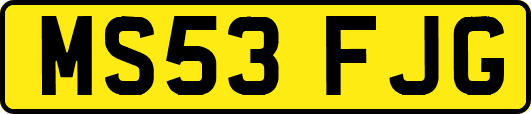 MS53FJG
