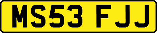 MS53FJJ