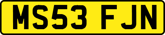 MS53FJN