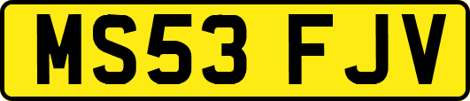 MS53FJV