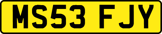 MS53FJY