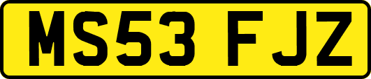 MS53FJZ