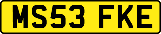 MS53FKE