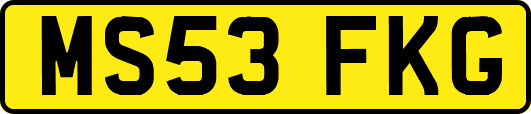 MS53FKG