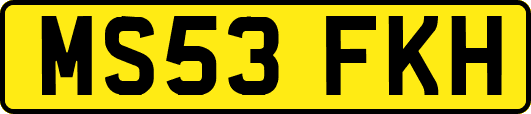 MS53FKH