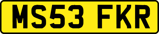 MS53FKR